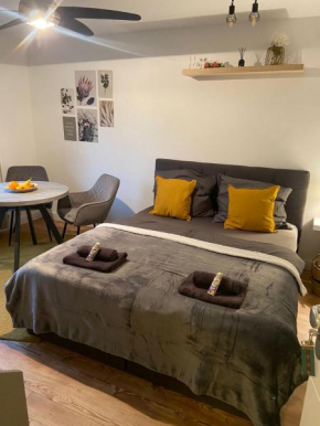 Apartment Nähe Weinheim HD MA Work & Travel